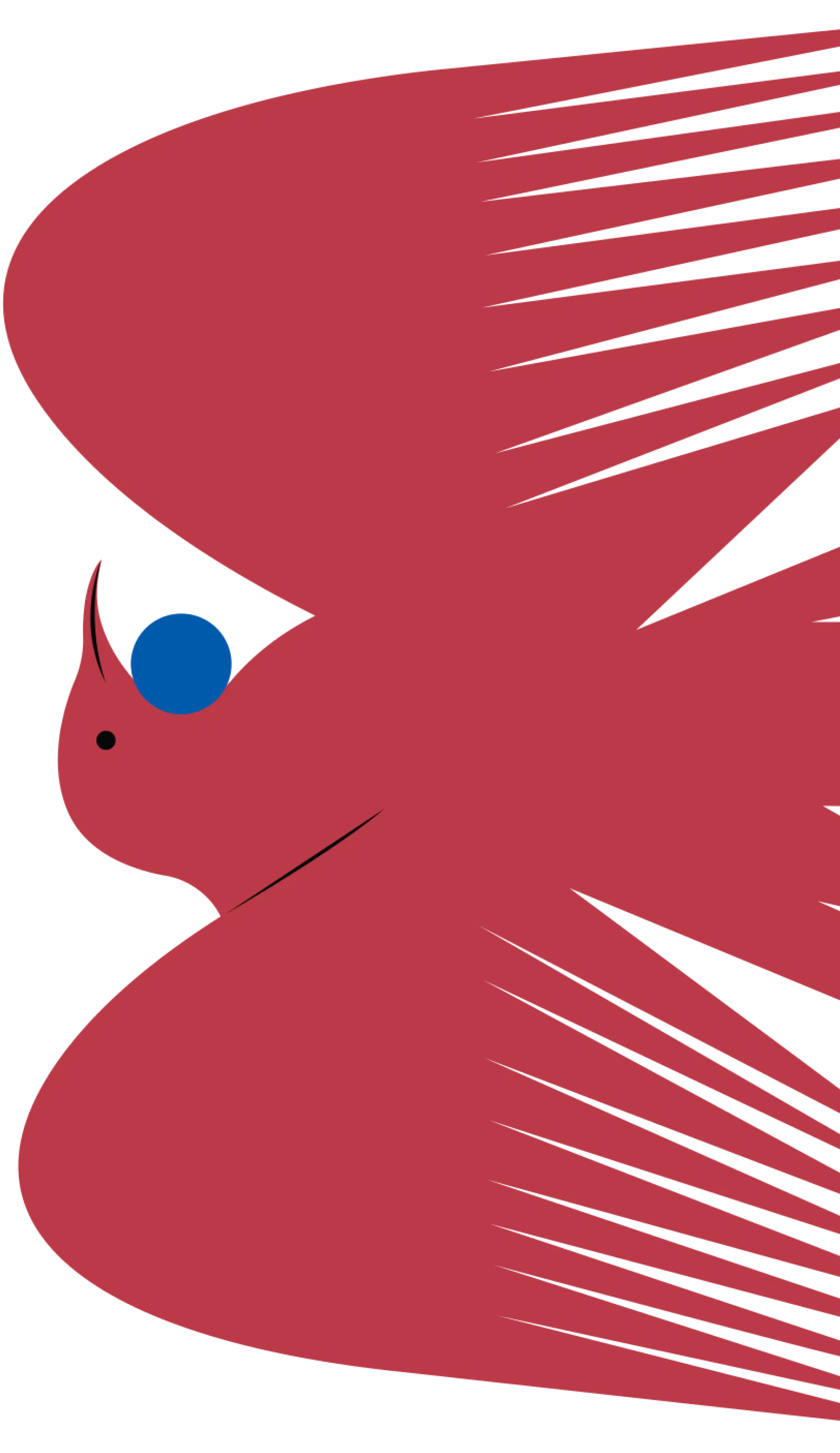 HUIA BIRDS PINOT NOIR 1 2024 12 13 074944 yevq