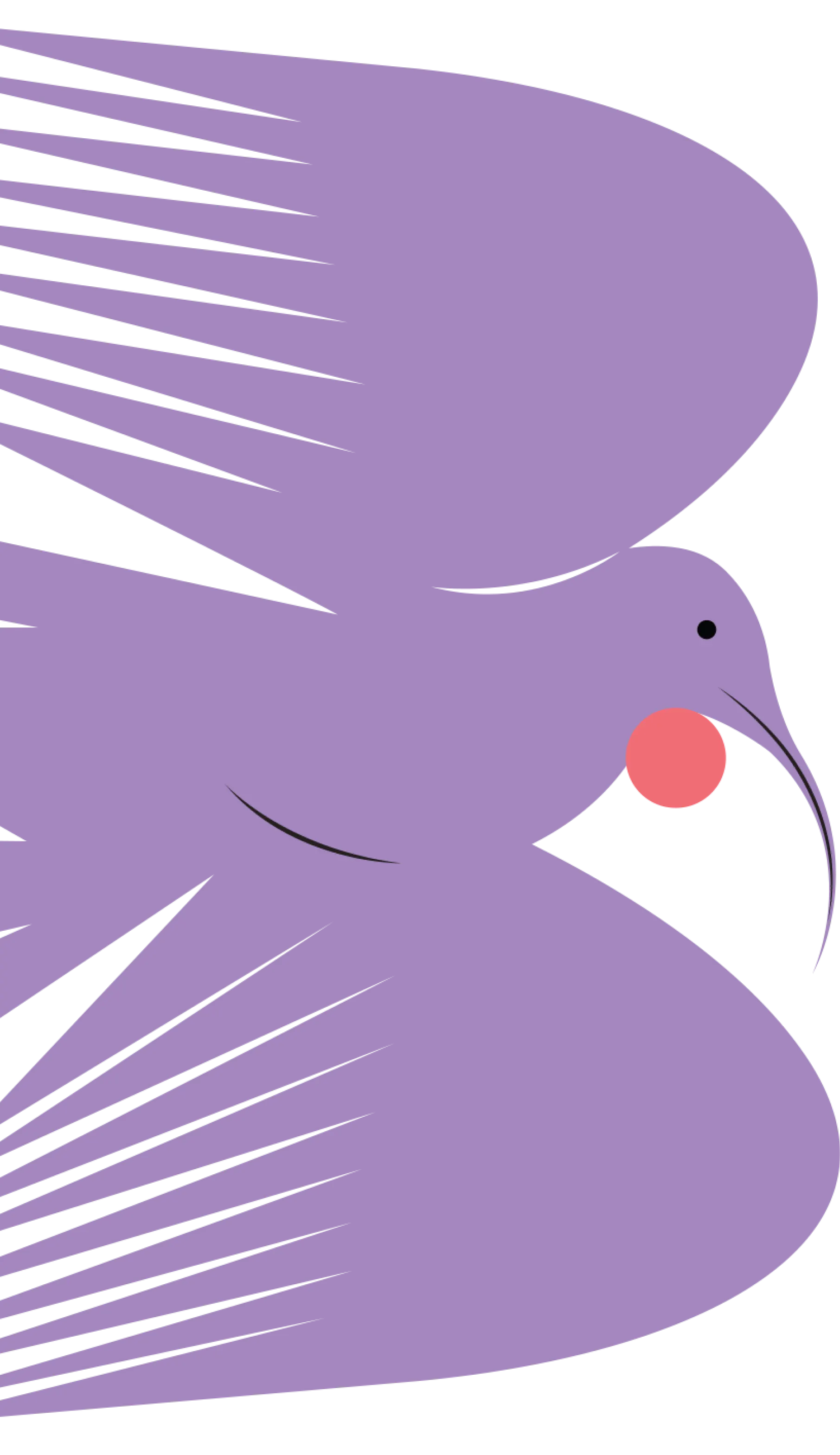 HUIA BIRDS PINOT NOIR