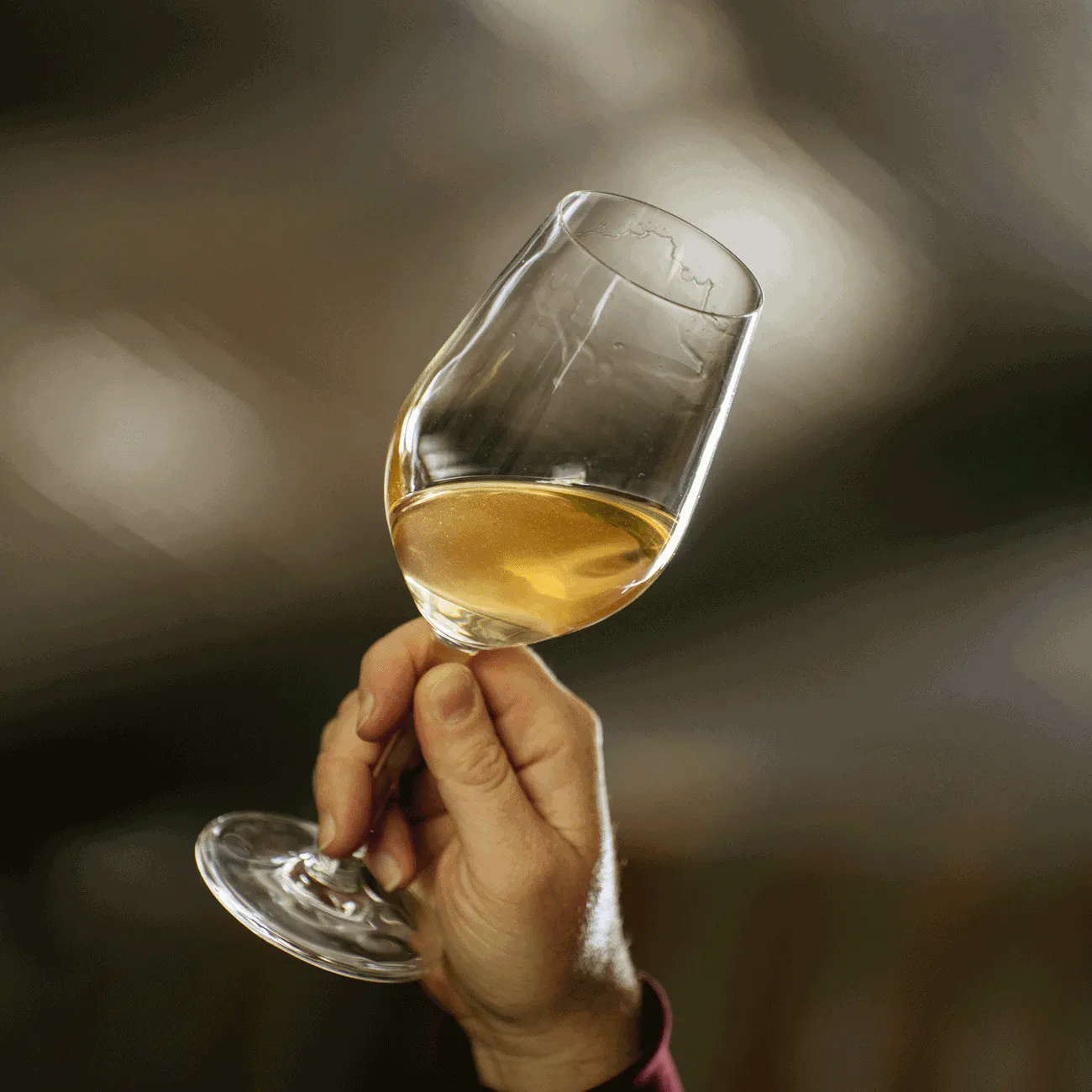 Riesling Glass