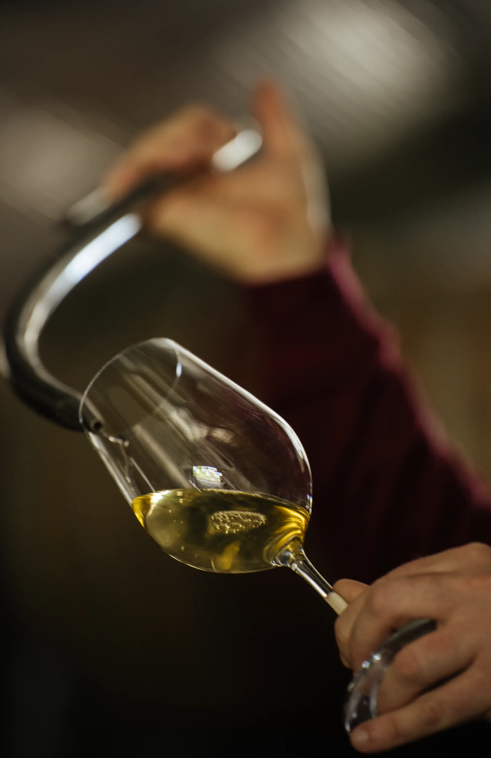 Ourwineb