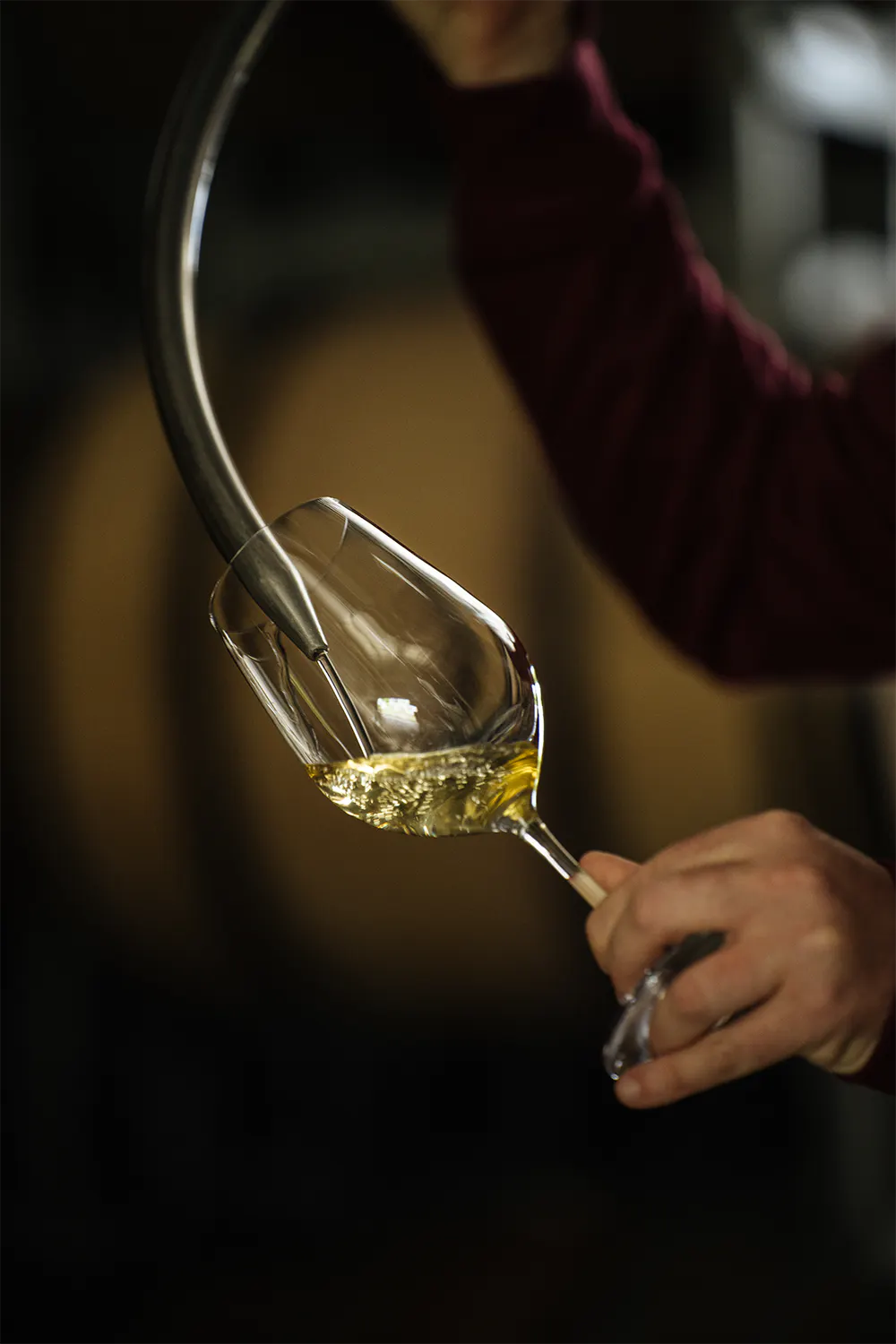 Wine glass